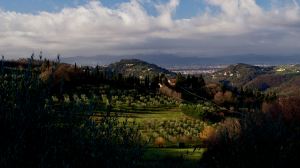 Fiesole hills