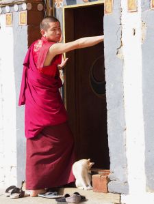Monk & cat